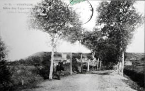 020 allée 'des espyrouzes'