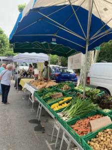 plusieurs stands au nouveau marché de Venerque